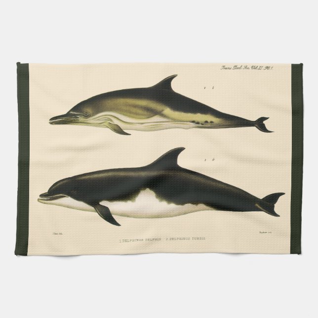Vintage Dolphins, Marine Mammals Animals  Tea Towel (Horizontal)