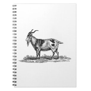 Vintage Domestic Goat Illustration - 1800's Goats Notebook