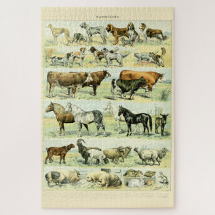 Vintage Domesticated Animals by Adolphe Millot Jigsaw Puzzle