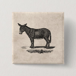 Vintage Donkey Illustration - 1800's Donkeys 15 Cm Square Badge