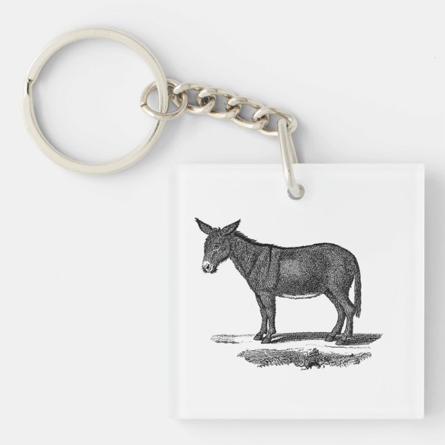 Vintage Donkey Illustration - 1800's Donkeys Key Ring (Front)