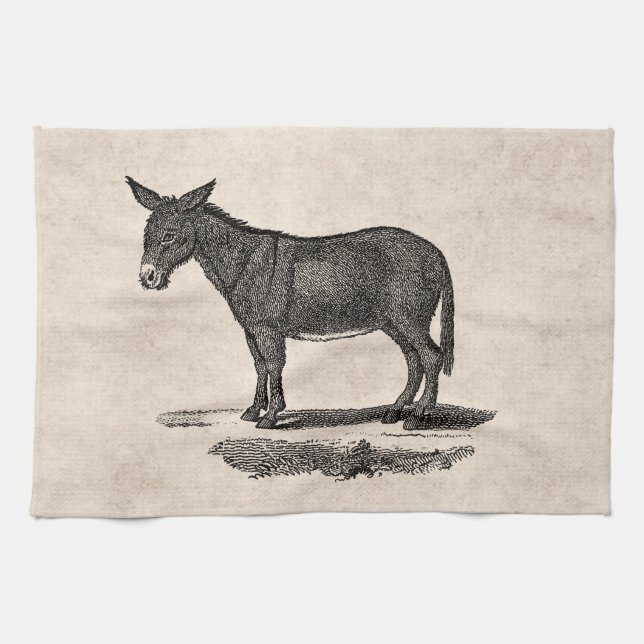 Vintage Donkey Illustration - 1800's Donkeys Tea Towel (Horizontal)