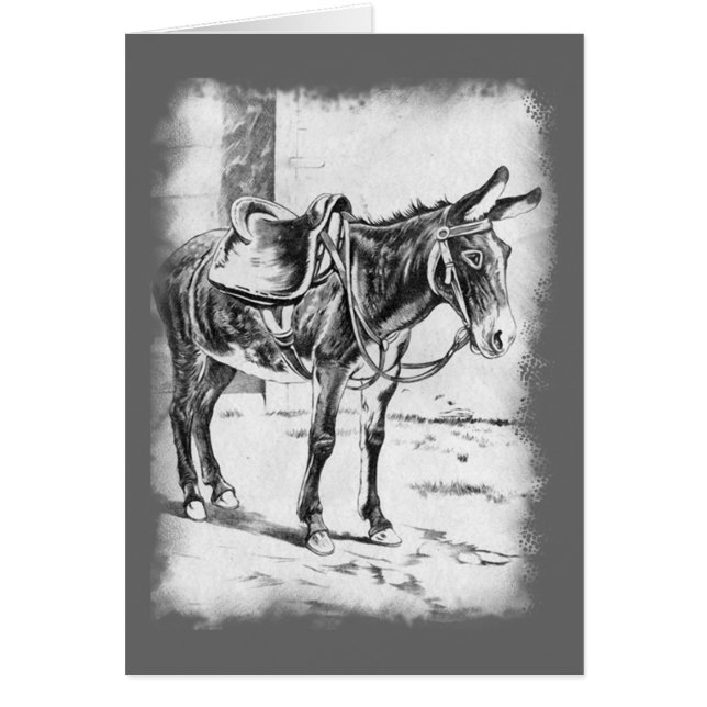 Vintage Donkey with Saddle Card (Front)