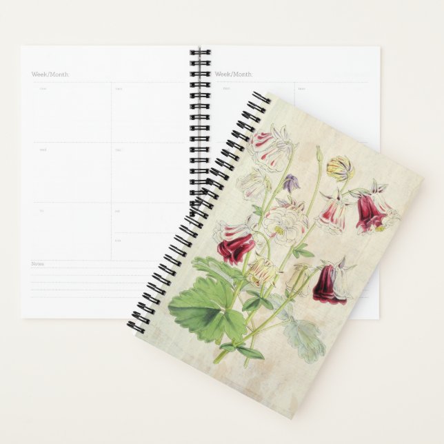 Vintage Double Carnation-Striped Columbine Planner (Display)