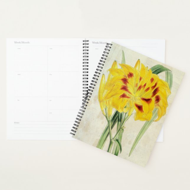 Vintage Double-Flowered Distichous Daylily Planner (Display)
