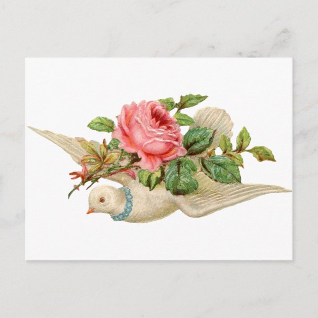 Vintage Dove and Rose Postcard (Front)