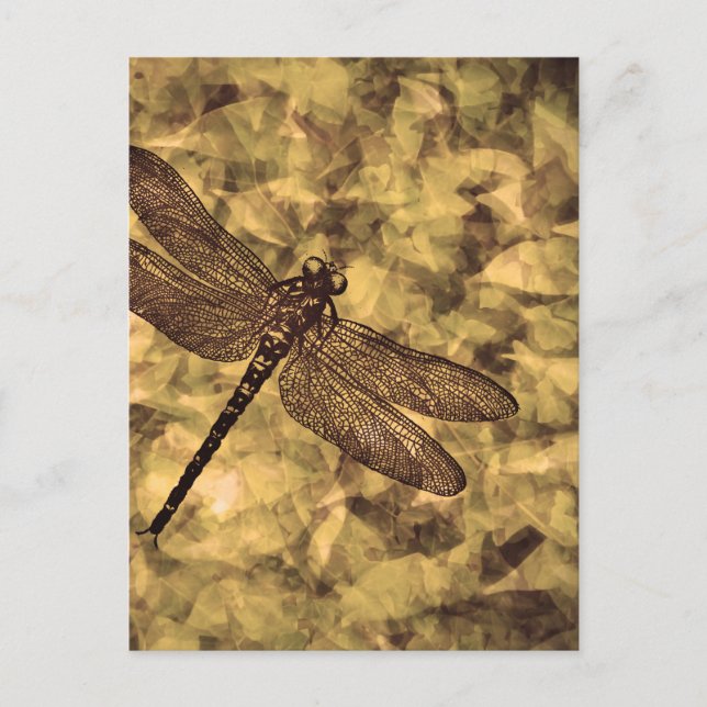 Vintage Dragonfly Art Postcard (Front)