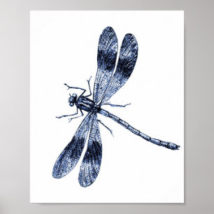 Vintage Dragonfly - Blue Poster