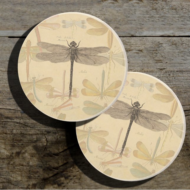 Vintage dragonfly drawing coaster (Creator Uploaded)