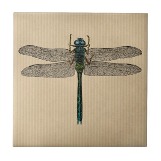 Vintage Dragonfly Illustration Ceramic Tile