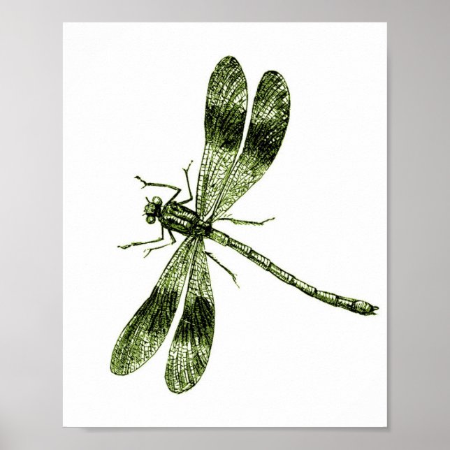 Vintage Dragonfly - Light Green Poster (Front)