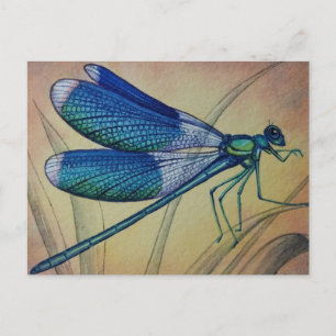 Vintage Dragonfly No. 5 and Grass Watercolor Art Postcard