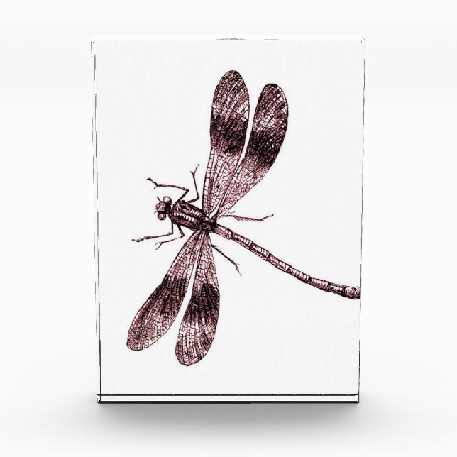 Vintage Dragonfly - Red Photo Block (Front)