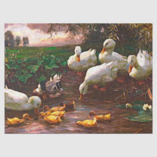 Vintage Drake With White Ducks & Yellow Ducklings  Tissue Paper