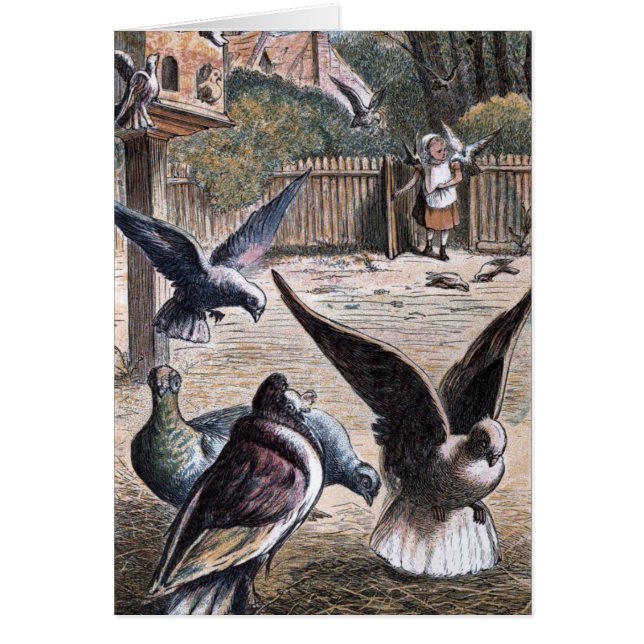 Vintage Drawing: Carrier Pidgeons (Front)