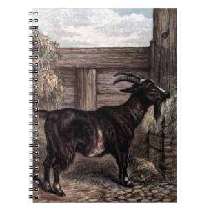 Vintage Drawing: Dark Brown Goat Notebook