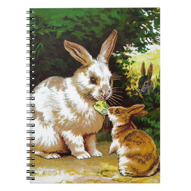 Vintage Drawing: Little Bunnies Notebook (Front)