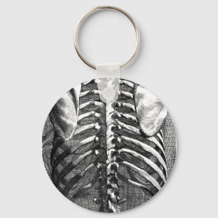 Vintage drawing of a spine and ribcage key ring