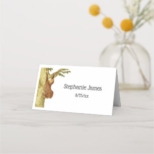 Vintage Drawing of Sloth Hanging From Tree C Place Card