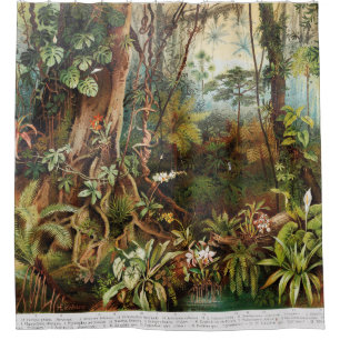 Vintage drawing of tropical forest plants from the shower curtain
