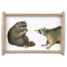 Vintage drawing "Racoon wants it's Share"