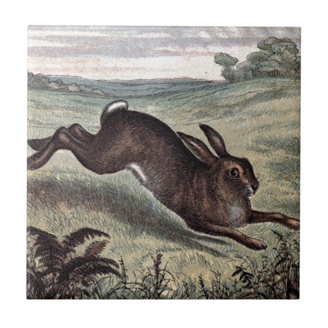 Vintage Drawing: Running Hare in a Field Tile (Front)