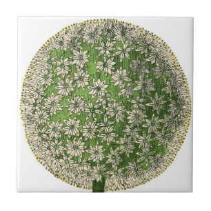 Vintage Dreams - Dandelion Tile