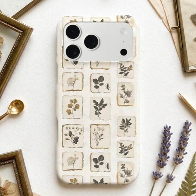 Vintage dried pressed wildflowers herbal botanical (Creator Uploaded)