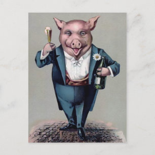 Vintage Drinking Pig Postcard
