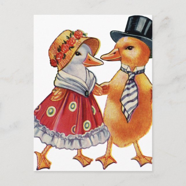 Vintage Duck Couple Postcard (Front)