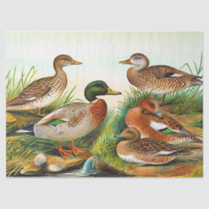 Vintage Ducks At The Pond 3 Decoupage Tissue Paper