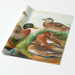 Vintage Ducks At The Pond 3 Decoupage Wrapping Paper