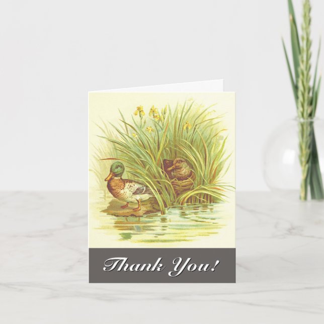 Vintage, Ducks Near Water "Thank You!" Card (Front)