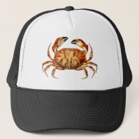 Vintage Dungeness Crab Illustration