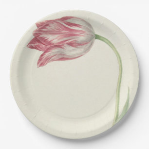 Vintage Dutch Art: Blush Pink and White Tulip Paper Plate