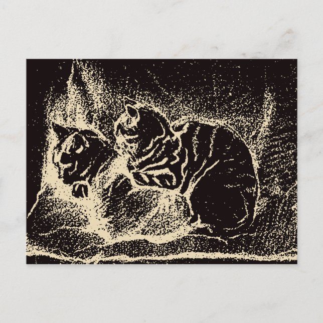 Vintage Dutch Fine Art - Two Sleeping Cats Postcard (Front)