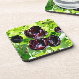 Vintage Dutch Purple Green Black Tulips Photo Coaster