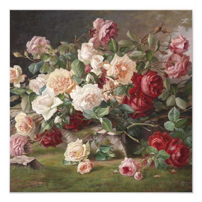 Vintage E. Hariel Rose Still Life           Photo Print (Front)