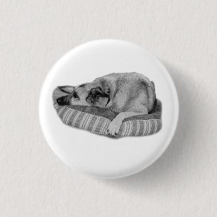 Vintage Ease, Stripe Pet Pin
