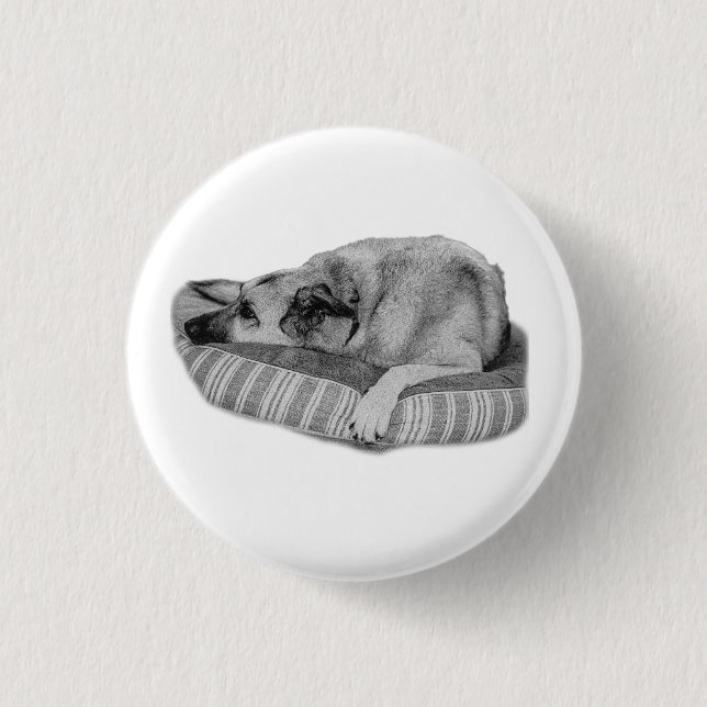 Vintage Ease, Stripe Pet Pin (Front)