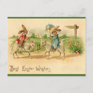 Vintage Easter Bunnies Riding Lambs Postcard