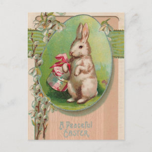 Vintage Easter Bunny Postcard
