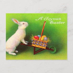 Vintage Easter Bunny Postcard
