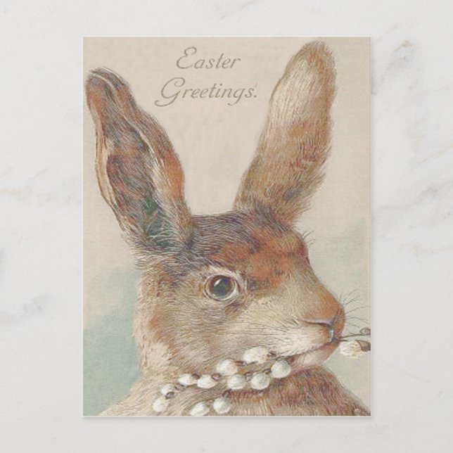 Vintage Easter Bunny Rabbit Holiday Postcard (Front)