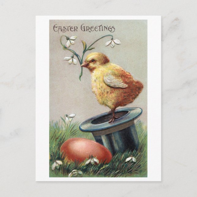 Vintage Easter Chick Egg Flower Postcard (Front)