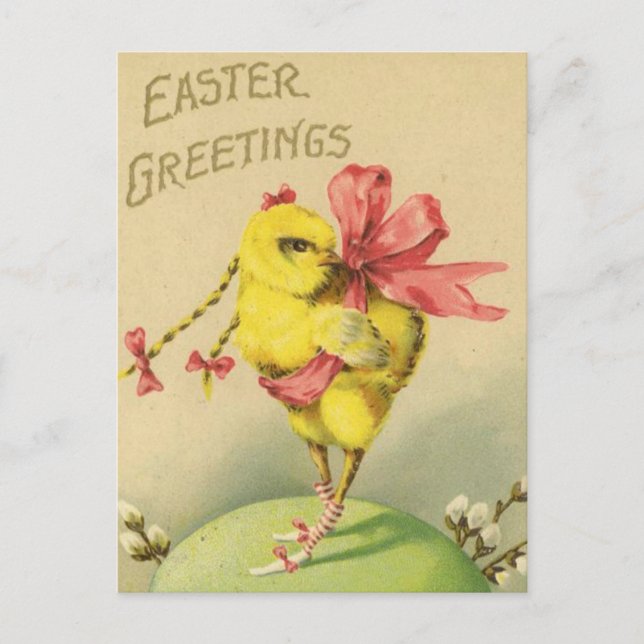 Vintage Easter Chick Holiday Postcard (Front)