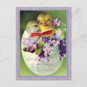 Vintage Easter Chick Postcard