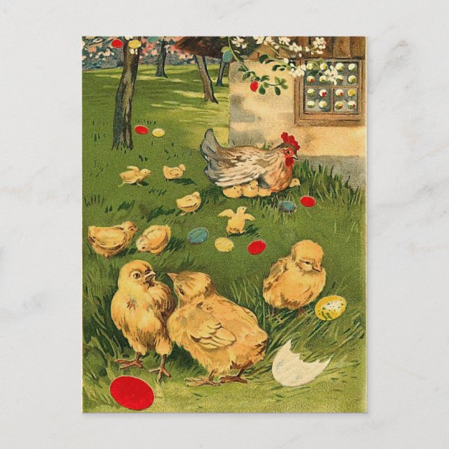 Vintage Easter Chick Postcard (Front)