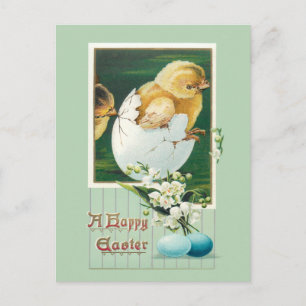 Vintage Easter Chicks and Greeting Postcard