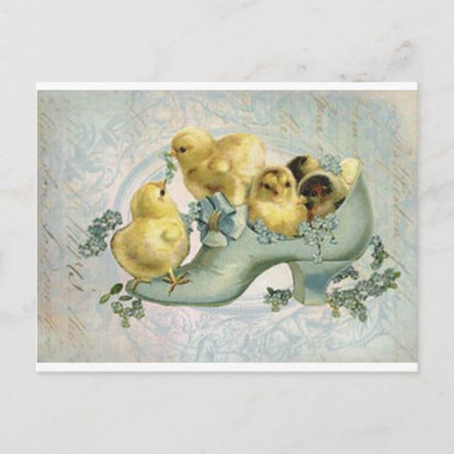 Vintage Easter Chicks in Boot Postcard (Front)